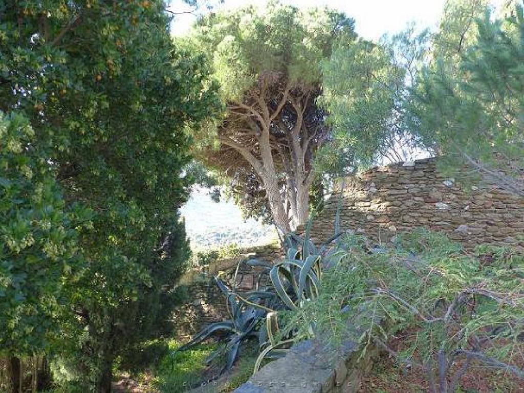 183 D28 Rayol Canadel 3_000020.jpg